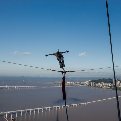 bungy